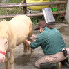高知県立のいち動物公園を支える獣医に密着…TBS系列「BACKSTAGE」、11月28日夜放送 画像