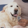 犬の爪ケア用アタッチメントが発売…コードレスミニルーター「ドレメル・ライト」 画像