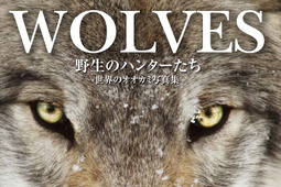 『WOLVES野生のハンターたち 世界のオオカミ写真集』刊行…大自然の中で生きる術に迫る 画像