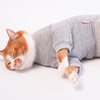 ぽぽねこ、猫用皮膚保護服「キャットプロテクションスーツ」の新色を発売