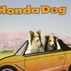 Honda Dogブース（インターペット2022）
